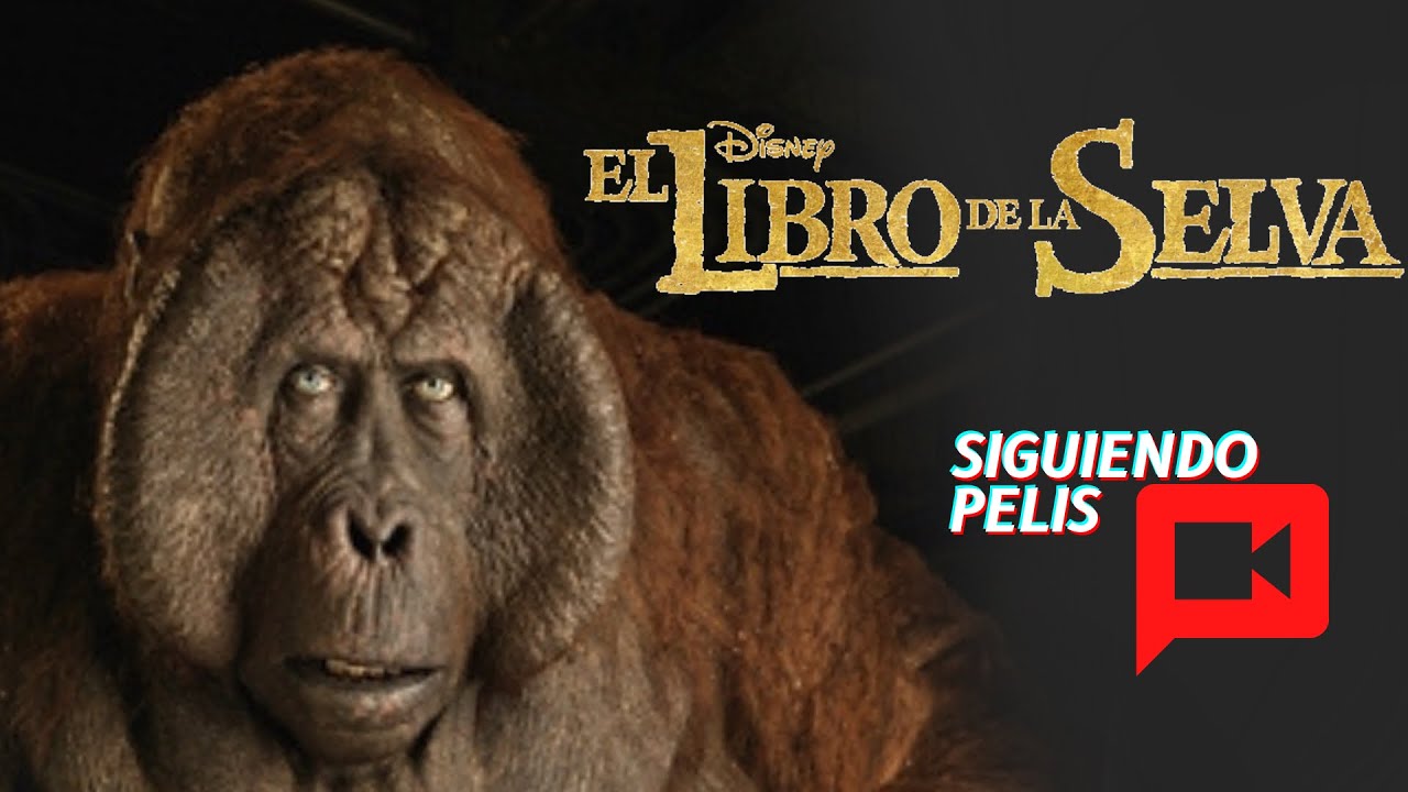Resumen del libro de la selva: análisis y personajes principales 1 resumen de el libro de la selva